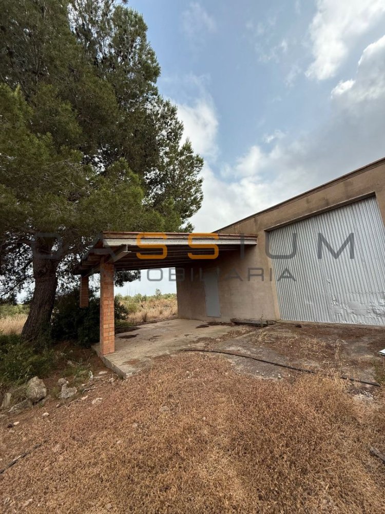 Grundstück in Mont-roig del Camp, Spain 19000m², Nr. 165638