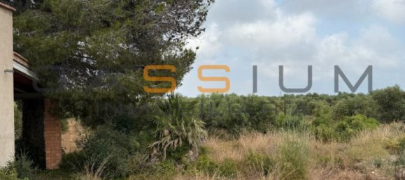 Grundstück in Mont-roig del Camp, Spain 19000m², Nr. 165638 3