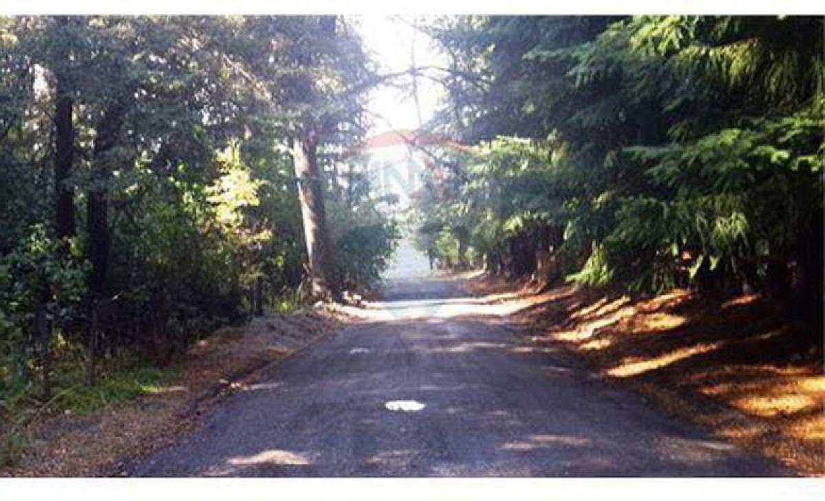 Terreno em Neuquen, Argentina N.º 40064