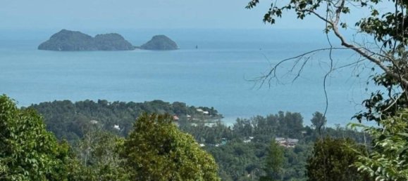  Commercial property in Surat Thani, Thailand No. 24583 2