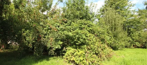 Grundstück in Holzminden, Germany 979m², Nr. 344810 10