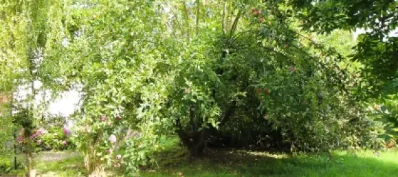 Grundstück in Holzminden, Germany 979m², Nr. 344810 8