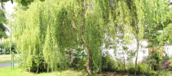 Grundstück in Holzminden, Germany 979m², Nr. 344810 7