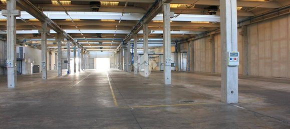 5763m² Warehouse in Luzzara, Italy No. 60481 28