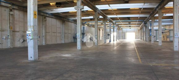 5763m² Warehouse in Luzzara, Italy No. 60481 29