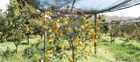 4 Schlafzimmer Haus in Nocera Inferiore, Italy, Nr. 54093 10