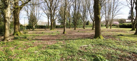 6 غرف نوم فيلا في Aillant-sur-Milleron, France رقم 78634 86