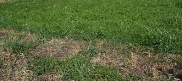 Terreno em Isola Vicentina, Italy 796 m² N.º 122558 9