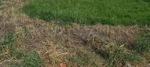 Terreno em Isola Vicentina, Italy 796 m² N.º 122558 8