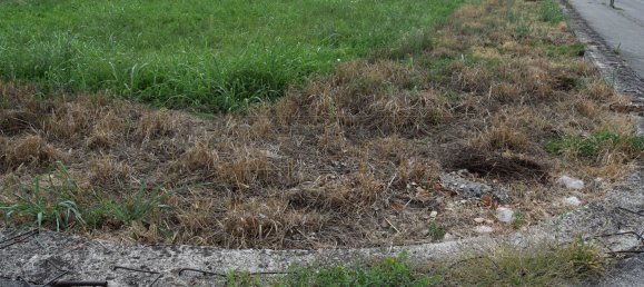 Terreno em Isola Vicentina, Italy 796 m² N.º 122558 5