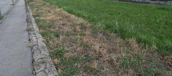 Terreno em Isola Vicentina, Italy 796 m² N.º 122558 4