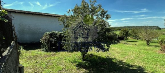 9 bedrooms Villa in San Martino dall'Argine, Italy No. 381815 29