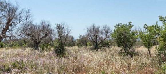 Casa T1 em Salve, Italy N.º 63466 28