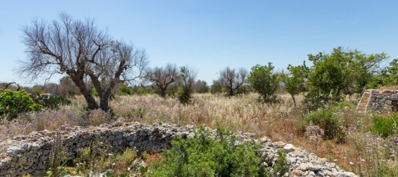 Casa T1 em Salve, Italy N.º 63466 27