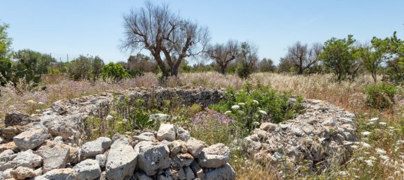 Casa T1 em Salve, Italy N.º 63466 26