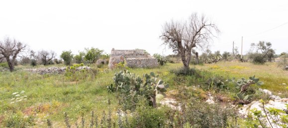 Casa T1 em Salve, Italy N.º 63466 3