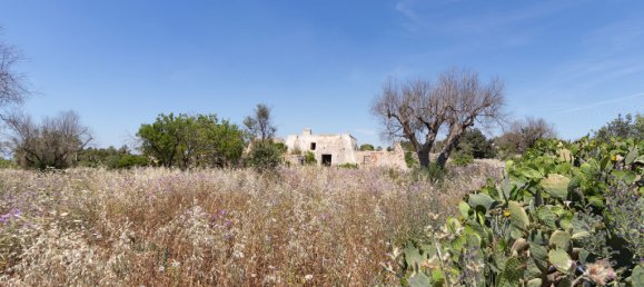 Casa T1 em Salve, Italy N.º 63466 24