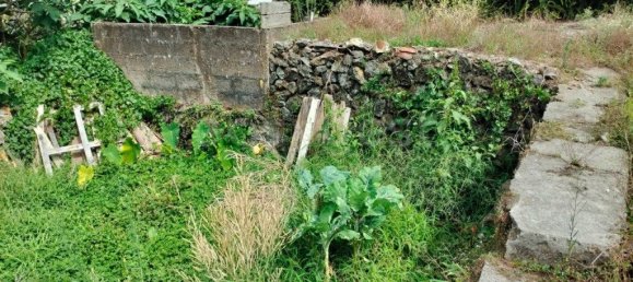 2 Schlafzimmer Haus in Praia da Vitoria, Portugal, Nr. 333765 24