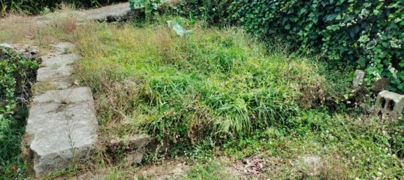 2 Schlafzimmer Haus in Praia da Vitoria, Portugal, Nr. 333765 26