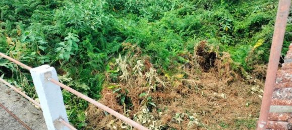 2 Schlafzimmer Haus in Praia da Vitoria, Portugal, Nr. 333765 27