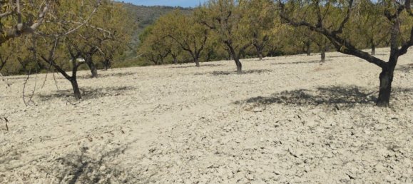 65m² Land in Mula, Spain No. 84966 16