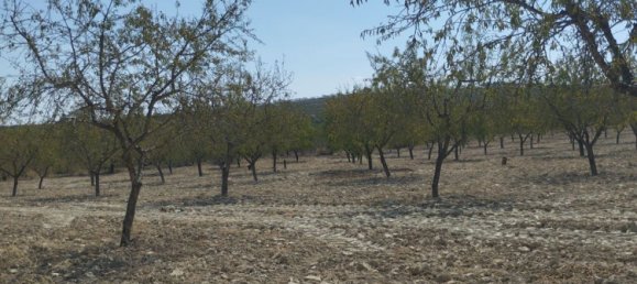 65m² Land in Mula, Spain No. 84966 3