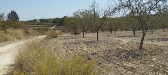 65m² Land in Mula, Spain No. 84966 5