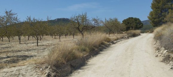 65m² Land in Mula, Spain No. 84966 2