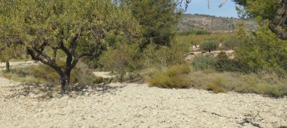65m² Land in Mula, Spain No. 84966 23