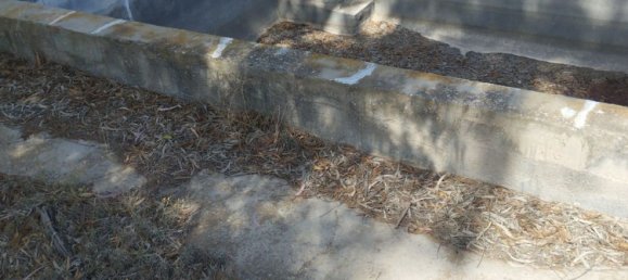 65m² Land in Mula, Spain No. 84966 10