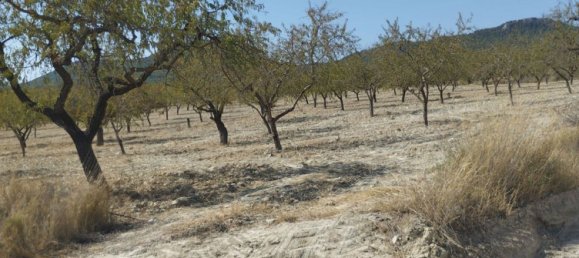 65m² Land in Mula, Spain No. 84966 8