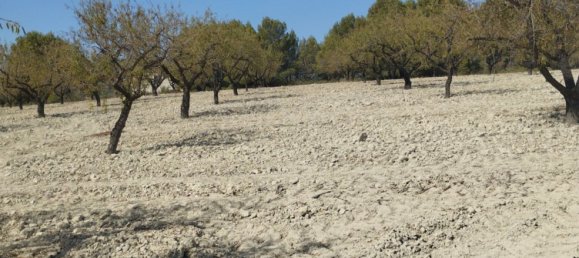 65m² Land in Mula, Spain No. 84966 13