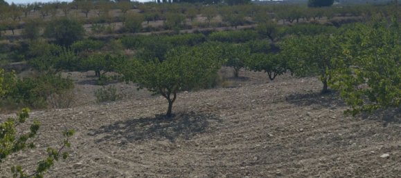 65m² Land in Mula, Spain No. 84966 21