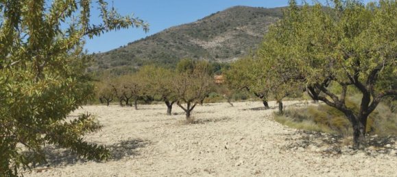 65m² Land in Mula, Spain No. 84966 22