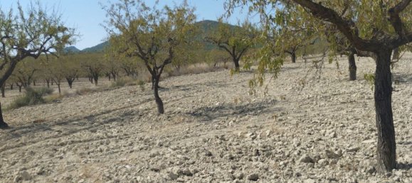 65m² Land in Mula, Spain No. 84966 14