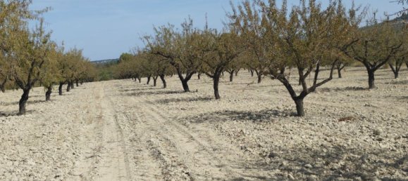 65m² Land in Mula, Spain No. 84966 17