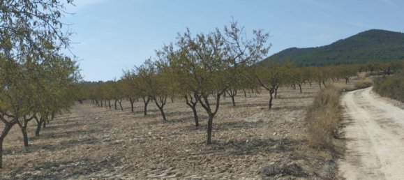 65m² Land in Mula, Spain No. 84966 4