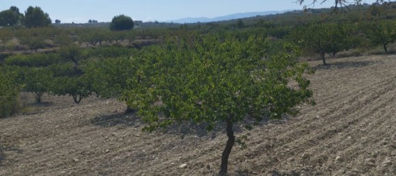 65m² Land in Mula, Spain No. 84966 20
