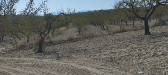 65m² Land in Mula, Spain No. 84966 15