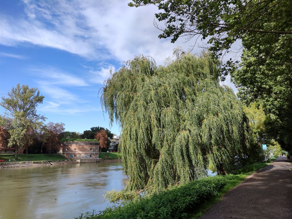 6-Zimmer Haus in Neu-Ulm, Germany, Nr. 54316