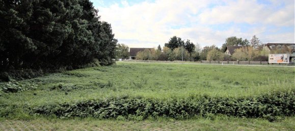 Terrain à Gerasdorf bei Wien, Austria No. 96847 4