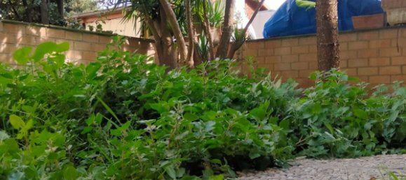 Дом с 9 комнатами в Франкавилла аль Маре, Италия № 197856 47