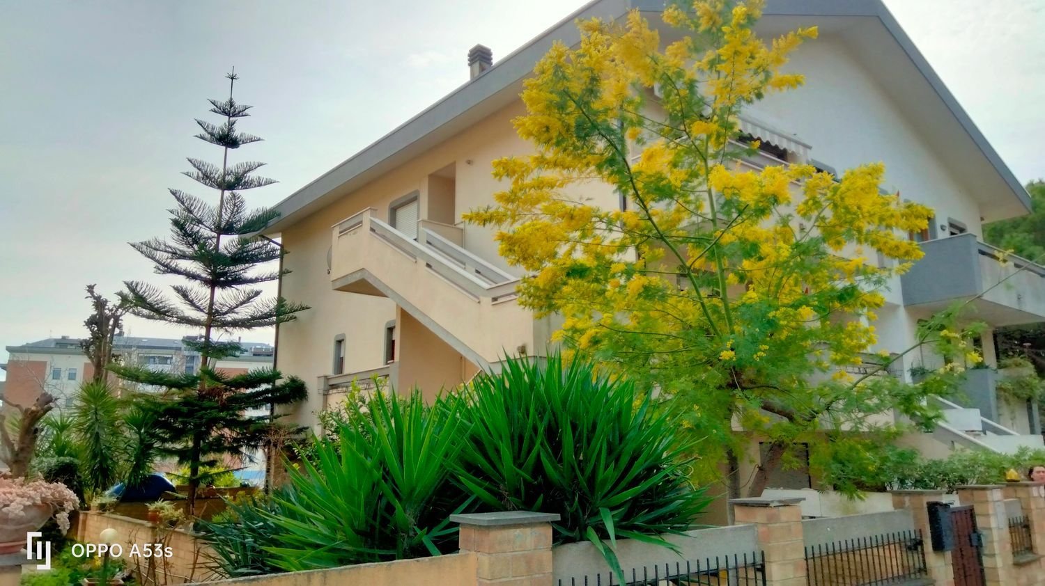 9-Zimmer Haus in Francavilla al Mare, Italy, Nr. 197856