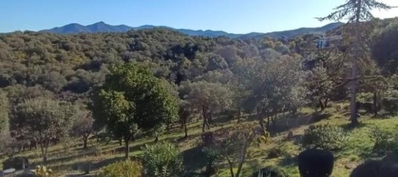 4 Schlafzimmer Villa in Ceret, France, Nr. 342270 7