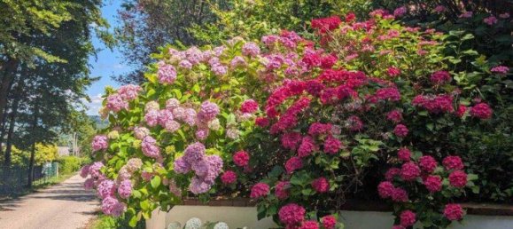 Villa de 6 habitaciónes en Eichgraben, Austria No. 194404 32