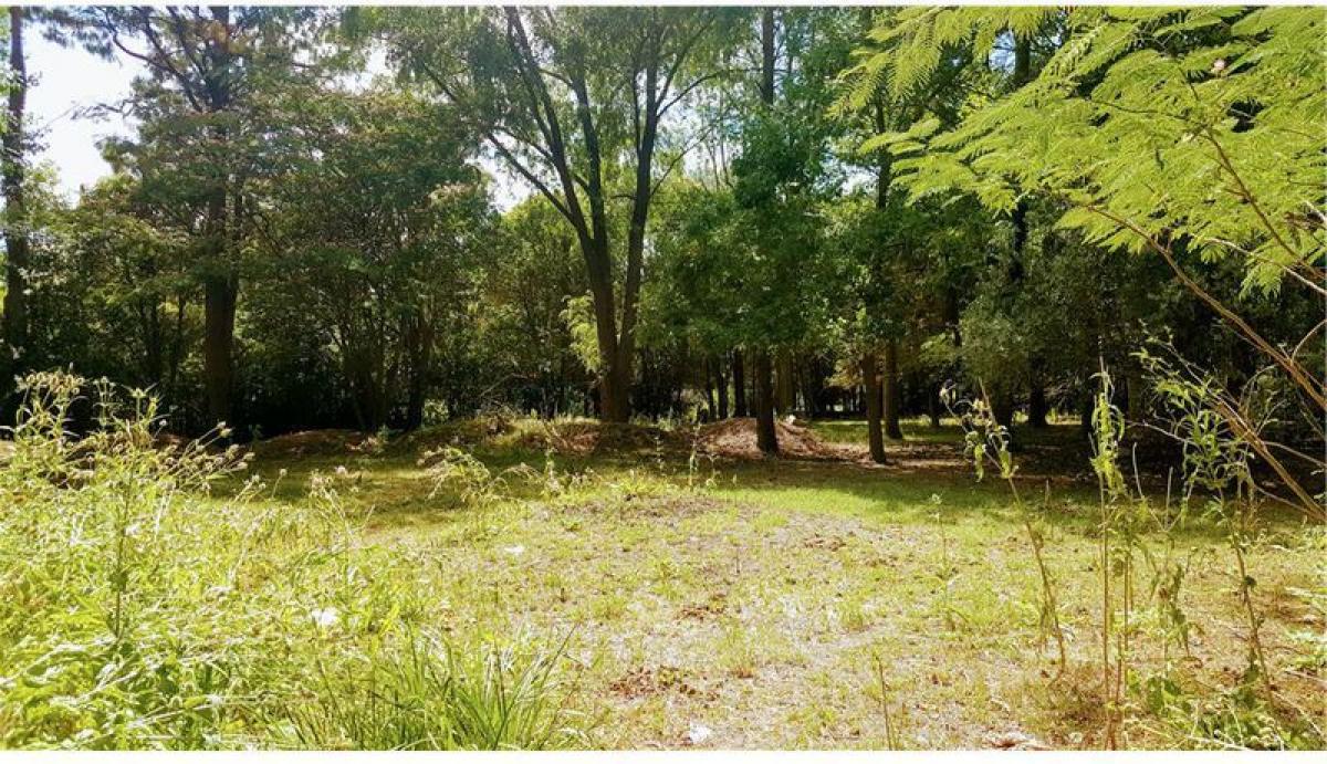 Terrain à Campo Creado, Argentina No. 36209