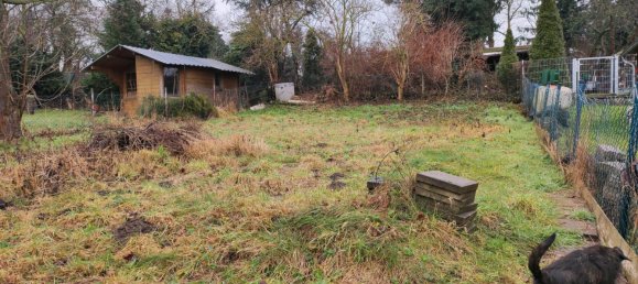 3 bedrooms Townhouse in Wolfenbuttel, Germany No. 218228 19