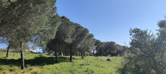  Land in Lagos, Portugal No. 189960 5