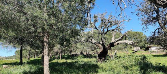  Land in Lagos, Portugal No. 189960 2