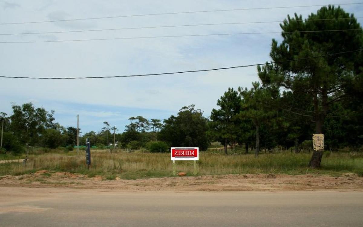 Земельный участок в Мальдонадо, Уругвай № 16062